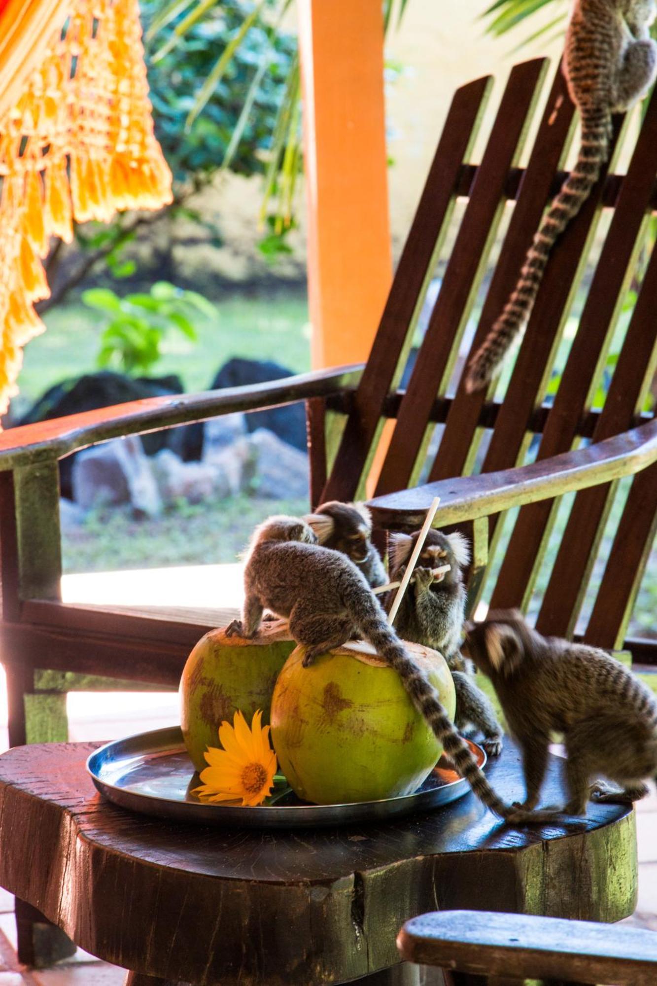 Pousada Cacimbinhas Praia de Pipa 外观 照片